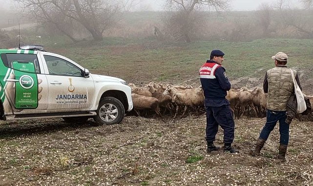 Edirne'de çobanlara hayvanların hastalıktan korunması için bilgilendirme yapıldı