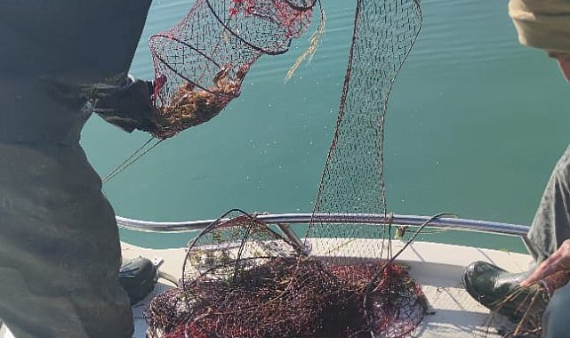 Eğirdir Gölü'nde 170 adet kerevit sepeti tespit edildi