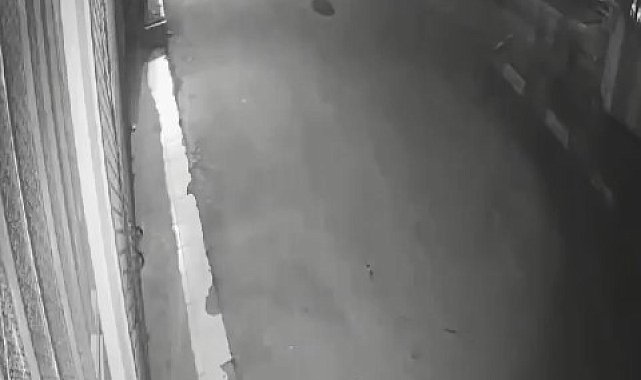El freni çekilmeyen otomobili lodos sürdü