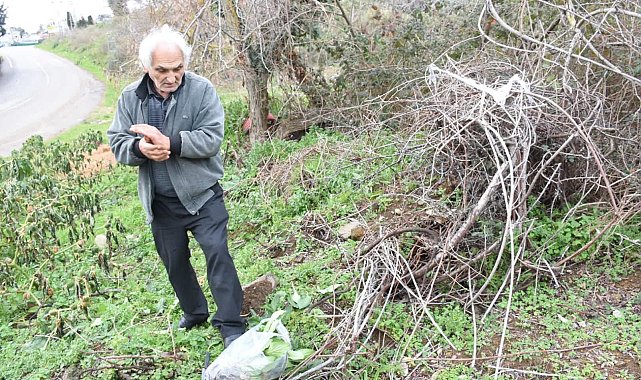 Emeklinin doğa tutkusu: Yenilebilen otları toplayarak sağlıklı yaşamı destekliyor