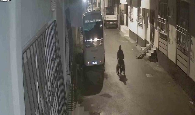 En vicdansız hırsız