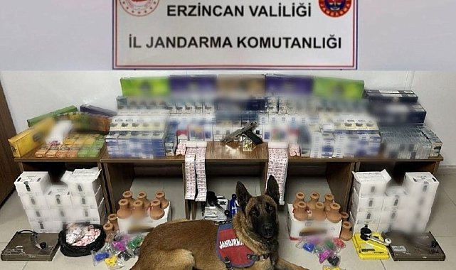 Erzincan&#039;da jandarma ekiplerinden kaçak sigara operasyonu