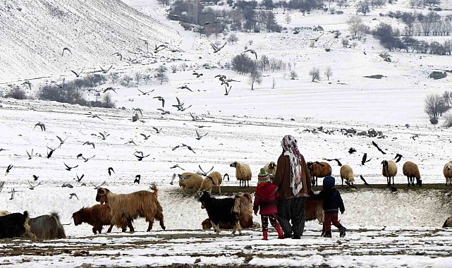 Erzincan'da "Köyümde Yaşamak İçin Bir Sürü Nedenim Var" projesi ile 179 üretici hayvan varlığını artırdı