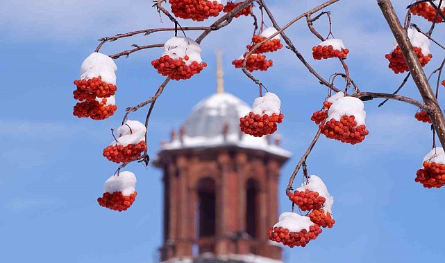 Erzurum'da termometreler -21 dereceyi gördü