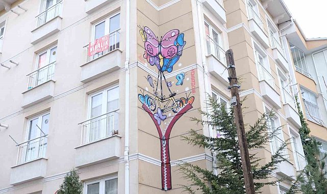 Eskişehir'de duvarlara çizilen grafitiler vatandaşın ilgisini çekiyor
