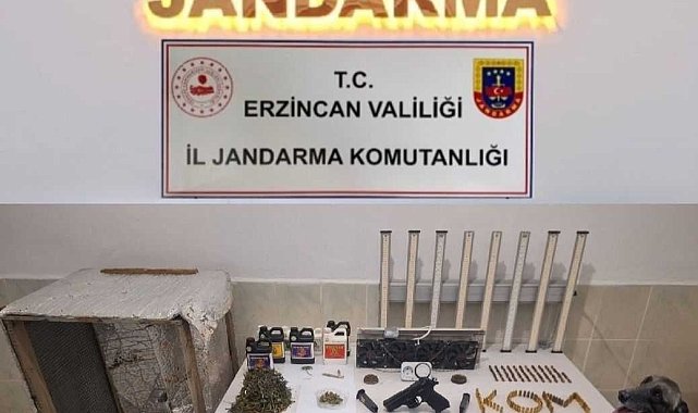 Evinde uyuşturucu yetiştiren 1 kişi gözaltına alındı