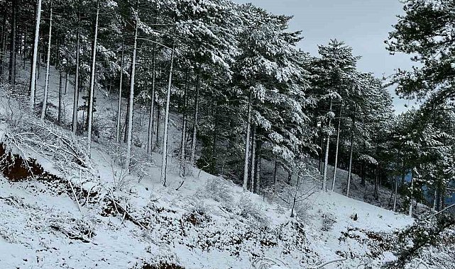 Gazipaşa kırsalı beyaza büründü