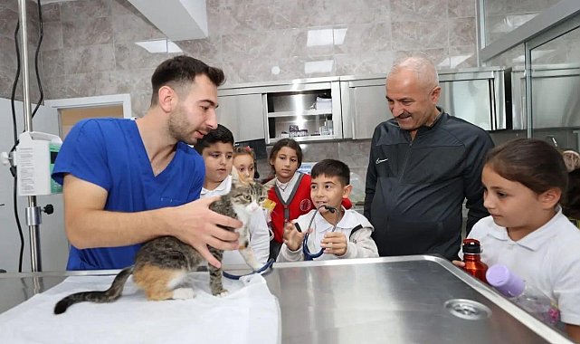 Gebze'de 10 bin 939 yaralı ve hasta hayvanın tedavisi yapıldı