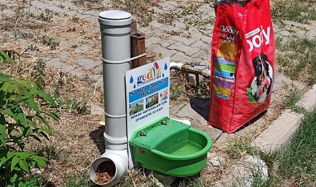 Gediz'de sokak hayvanları unutulmadı