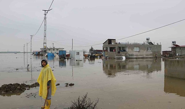 Göle dönen Amik Ovası'nda evler ve ahırlar su içerisinde kaldı