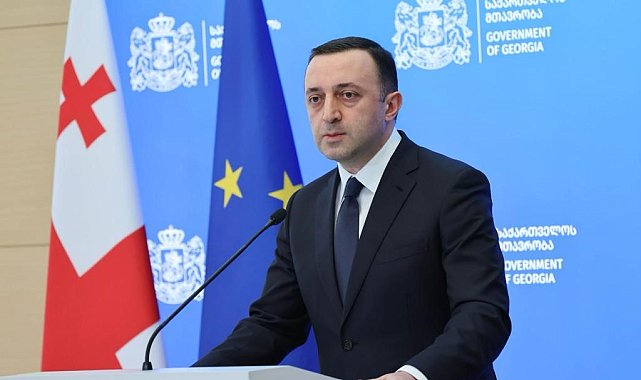 Gürcistan Başbakanı Garibaşvili istifa etti
