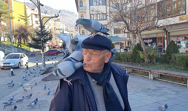 Güvercinleri ağzıyla besliyor