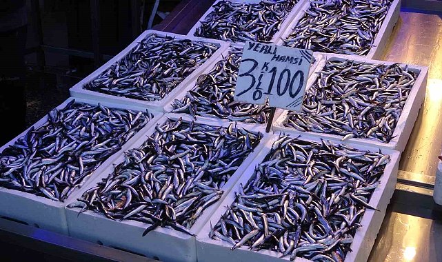 Hamsi ihracatından iki yılda yaklaşık 25 milyon dolar döviz geliri elde edildi