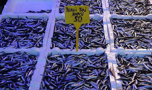 Hamsinin fiyatı yeni yılda geriledi