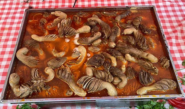 Hatay Tanıtım Günleri'nde renkli görüntüler oluştu