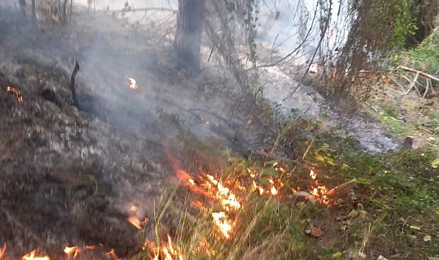 Hatay'da çıkan orman yangını itfaiye ekibi tarafından söndürüldü