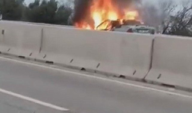 Hatay'da otomobil alevlere teslim oldu