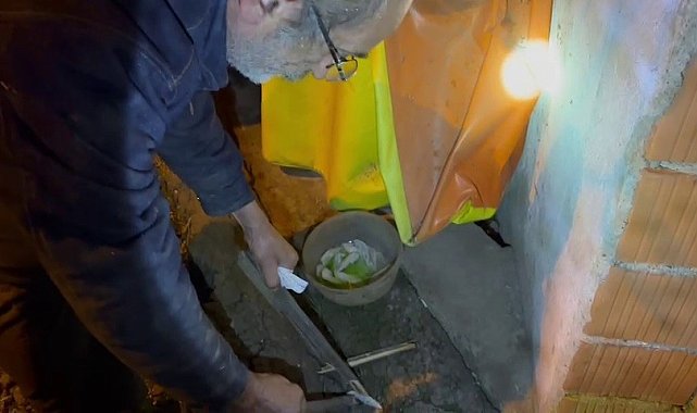 Hayvan zehirlenmelerine ilişkin inceleme başlatıldı