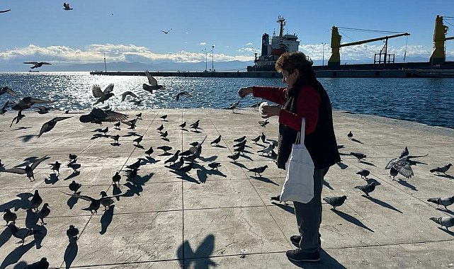 Her sabah sahildeki kuşları yemliyor
