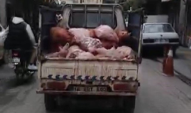 Hijyen kurallarına aykırı şekilde sakatat taşınan kamyonet kameralara yansıdı
