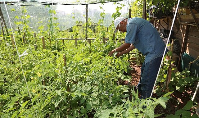 Hobi bahçesi başvuruları 17 Ocak'ta başlıyor