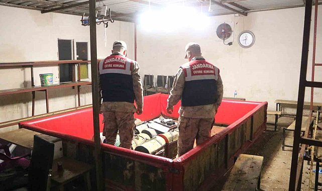 Horoz dövüşüne jandarma baskını