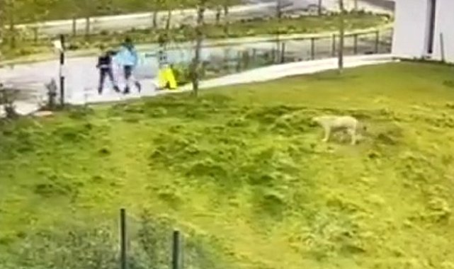 İBB Arıtma Tesisi'nde işlenen korkunç cinayetin görüntüsü ortaya çıktı