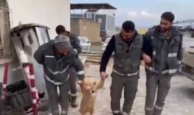 İşçilerin mola esnasında köpekle halayı güldürdü