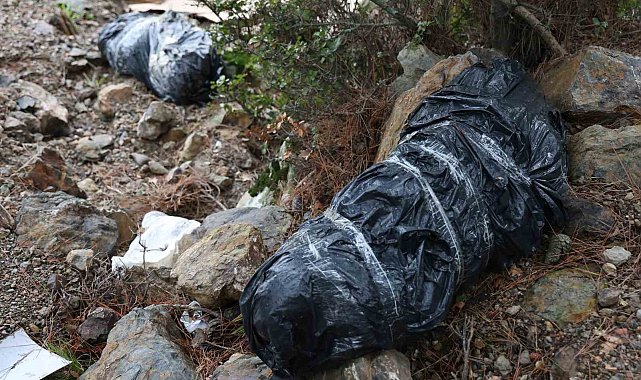 İzmir'de çöp poşetleri içerisinde köpek ölüleri bulundu