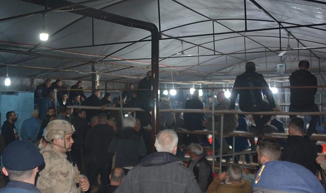 İzmir'de horoz dövüşü yaptıranlara jandarmadan operasyon