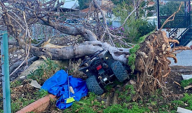 İzmir'de hortum su tankerini 30 metre fırlattı, çatıları uçurdu, ağaçları devirdi