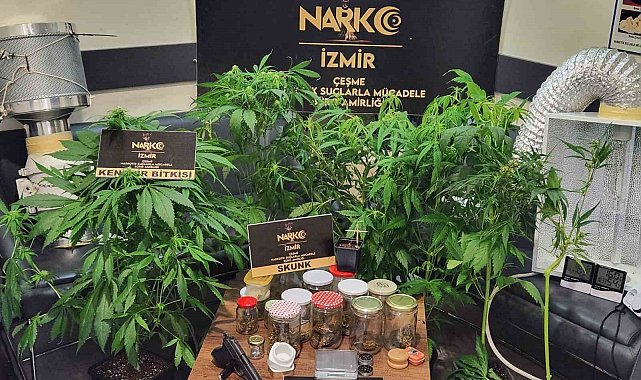 İzmir'de torbacı operasyonu: 5 tutuklama