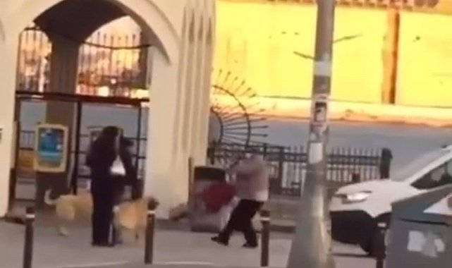 Kadıköy'de yaşlı kadına köpekler saldırdı
