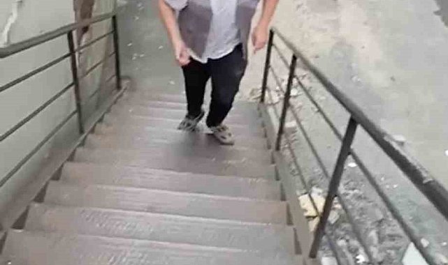 Kağıthane'de tepki çeken görüntüler: Biri kediye taş attı diğeri o anları kameraya aldı