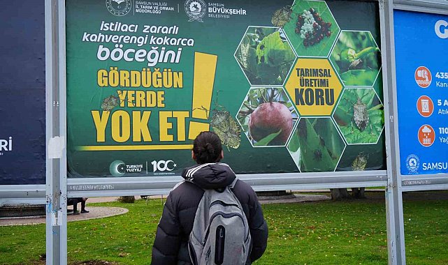 Kahverengi kokarcayla mücadele billboardlarda: "Gördüğün yerde yok et"