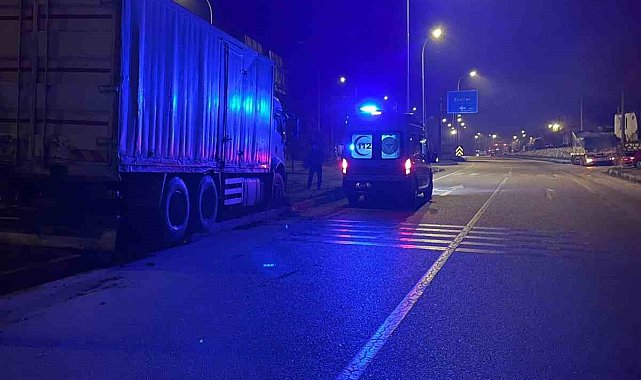 Kamyon şoförü yolda seyir halinde iken kalp krizi geçirerek öldü