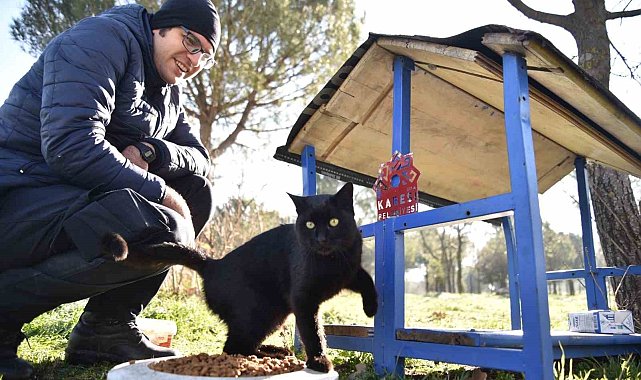 Karesi'de sokak hayvanları kış aylarında yalnız değil