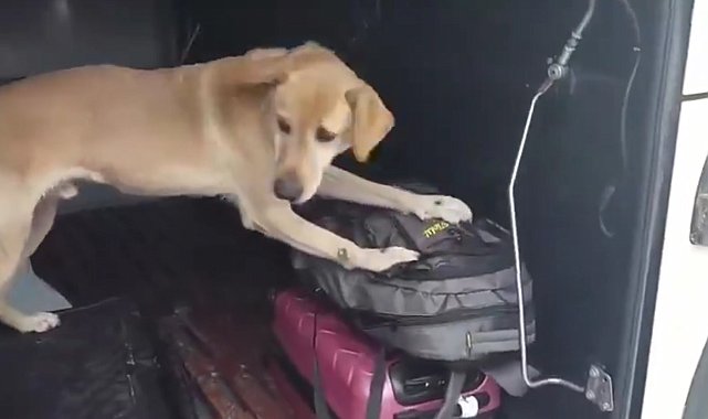 Kayseri polisi uyuşturucuya geçit vermedi: 3 günde 19 kişi tutuklandı
