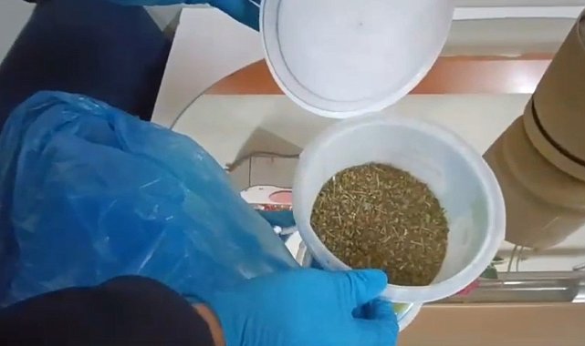 Kekikli bonzai polise takıldı