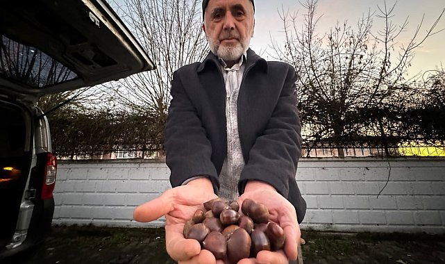 Kestane pişirmenin püf noktaları