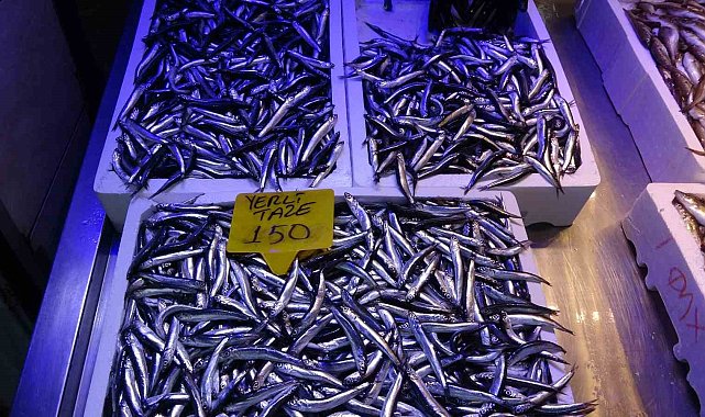 Kilosu 150-180 TL arasında satılan hamsi fiyatıyla şaşırtıyor
