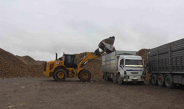 Kış ayında şeker pancarı nakliyesi mesaisi