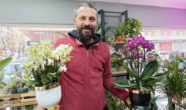 Kışın çiçek bakımında bunlara dikkat edin