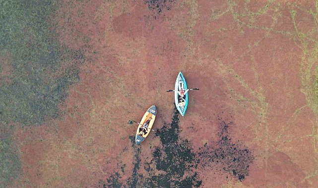 Kızıla bürünen Kızılırmak Deltası tablo gibi