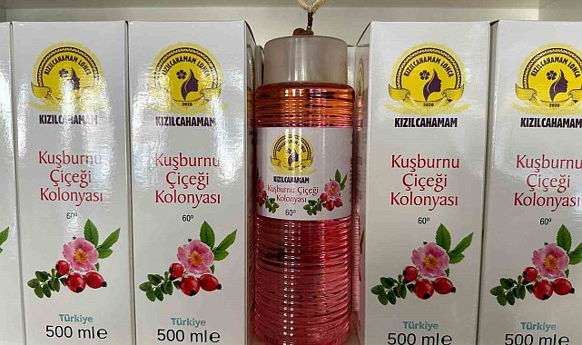 Kızılcahamam'da çamdan sonra kuşburnunun da kolonyası yapıldı