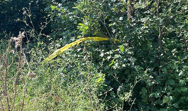 Komşu cinayetinde "küfür" iddiası