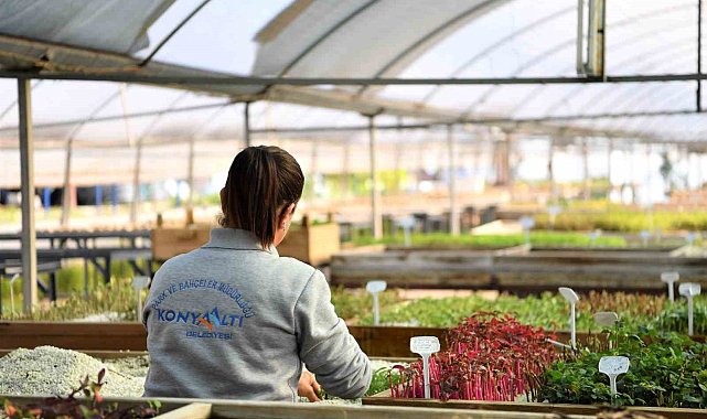 Konyaaltı'nda 2024'te hedef 300 bin çiçek