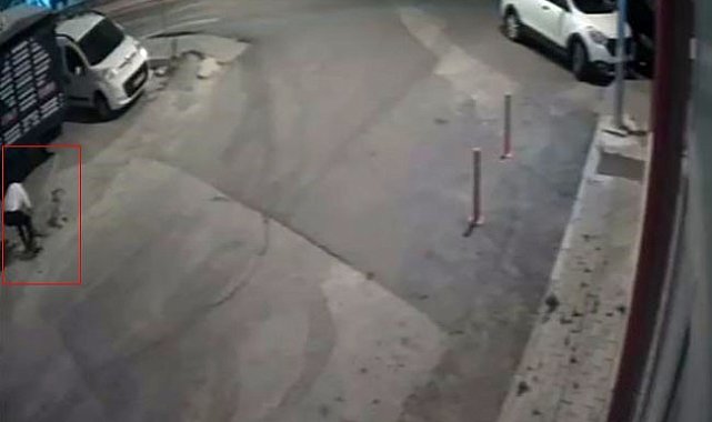 Köpeği öldüren sanıktan ilginç savunma