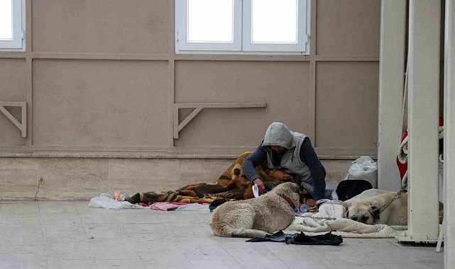 Köpekleriyle şadırvanı mesken tuttu, cami cemaati abdest alamaz oldu