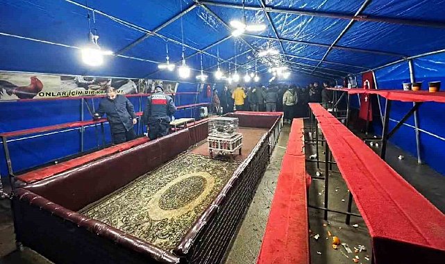 Kümes Hayvanlarını Koruma Derneğine 'Horoz Dövüşü' operasyonu